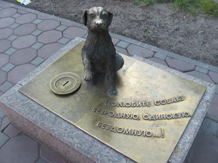 Тюмень. Памятник бездомной собаке.