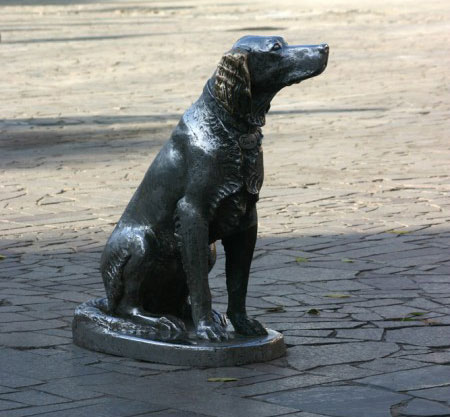 Памятник псу Биму в Воронеже