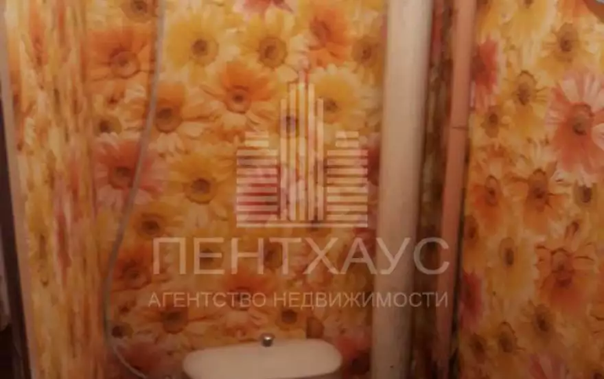 Суздальский проспект, 17