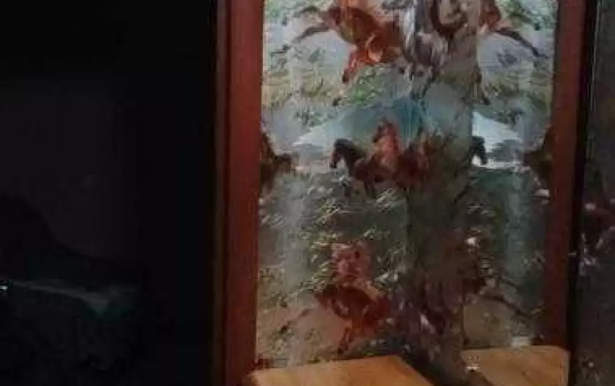 Булгакова, 12