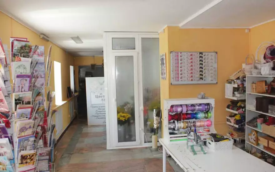 Горошникова, 64