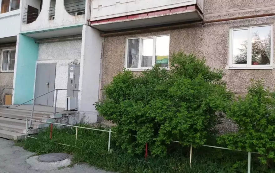 Алтайская, 49