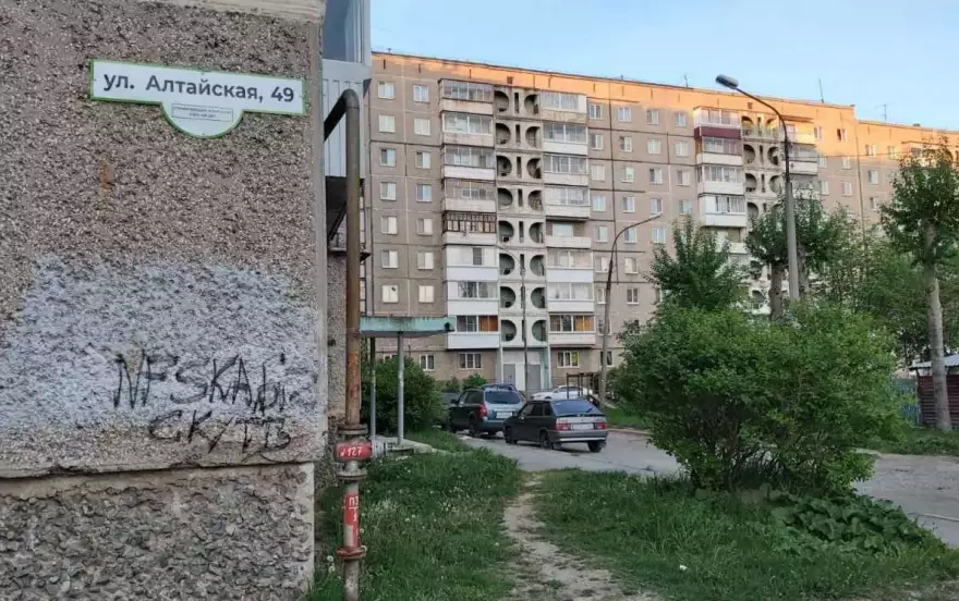 Алтайская, 49