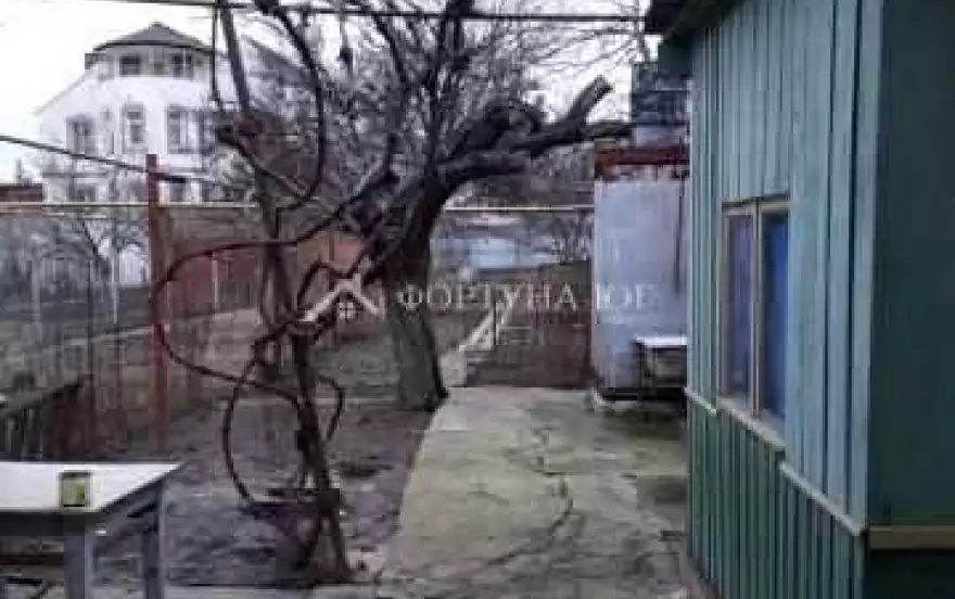 Зелёная улица
