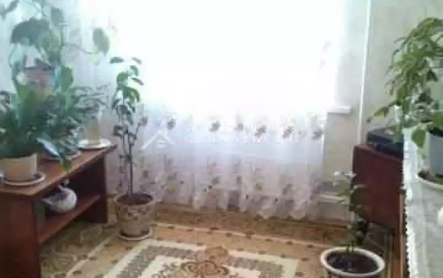 улица Лермонтова, 80