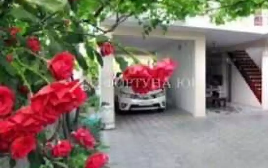 улица Некрасова