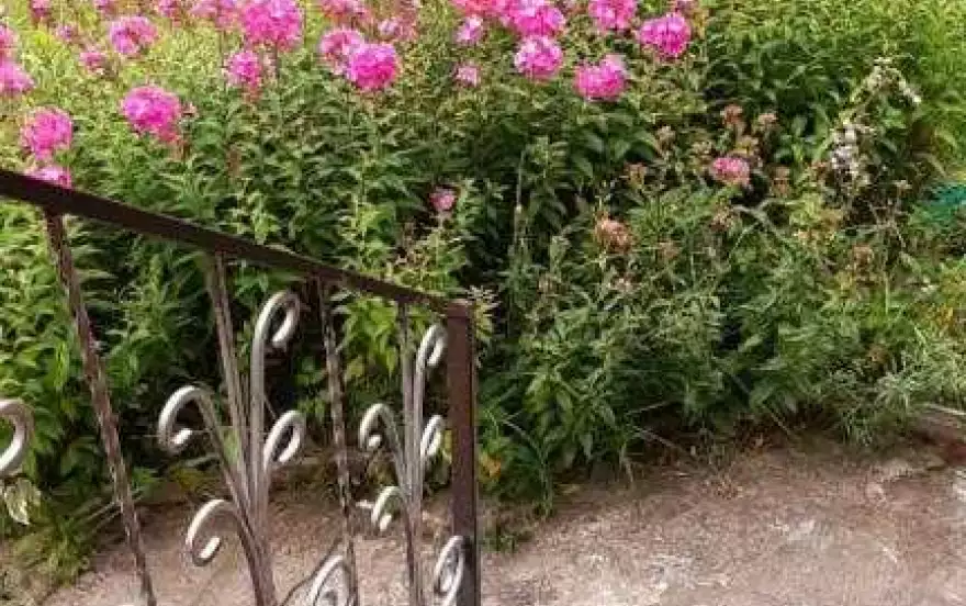 Лесная улица