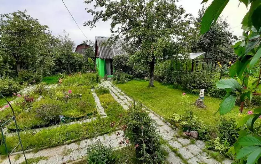 Лесная улица