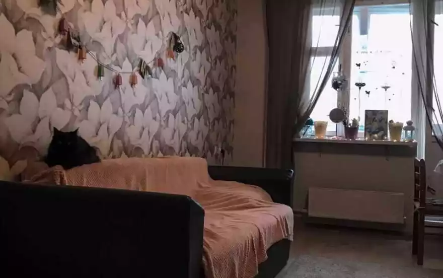 Главная улица, 20