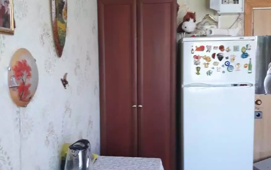 Пушкина улица, 99