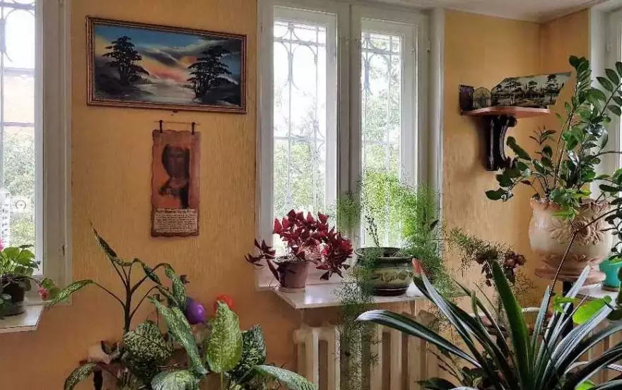 Кольцевая улица