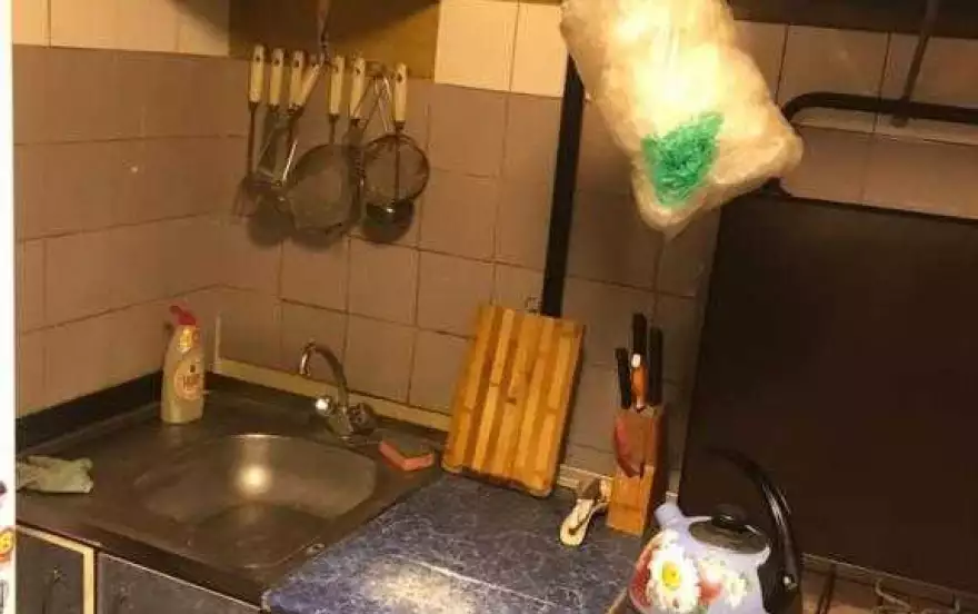Жуковского улица, -