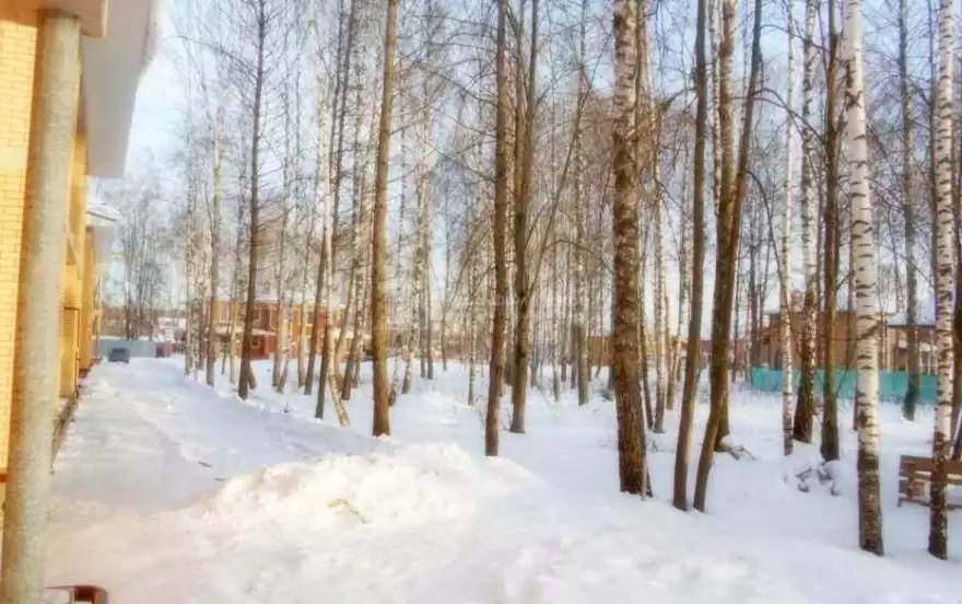 Турейка Парк улица