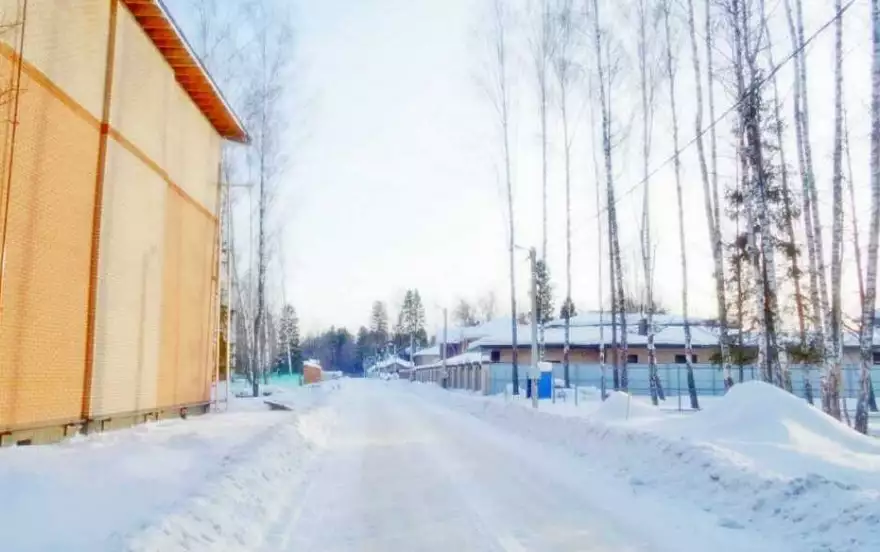 Турейка Парк улица