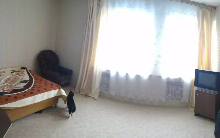 Пушкина улица