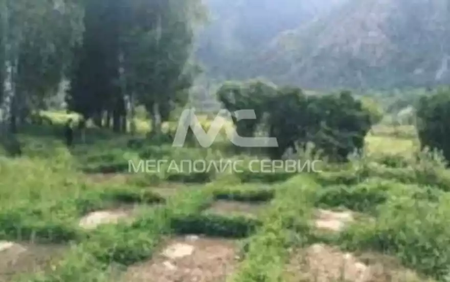 Бадукская улица