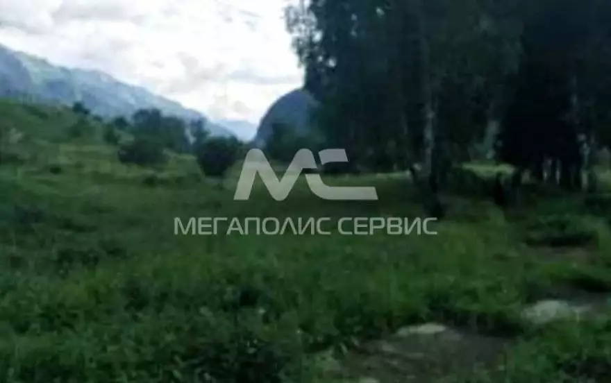 Бадукская улица