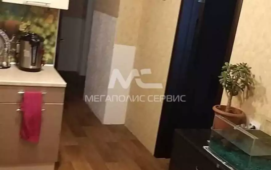 Татьяны Снежиной улица, 29