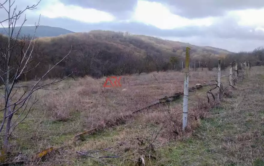 Солнечная улица