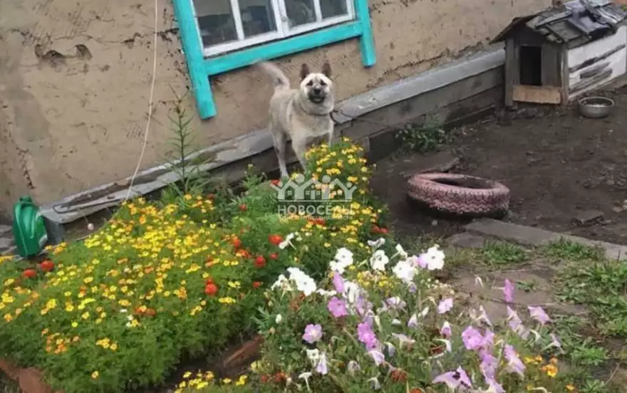 Волочаевский пер, 8