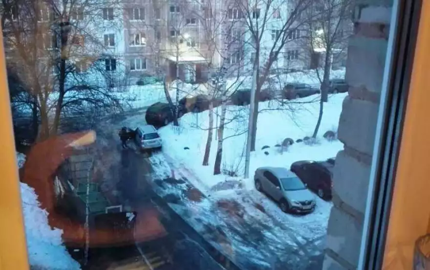 Козуева улица, 90