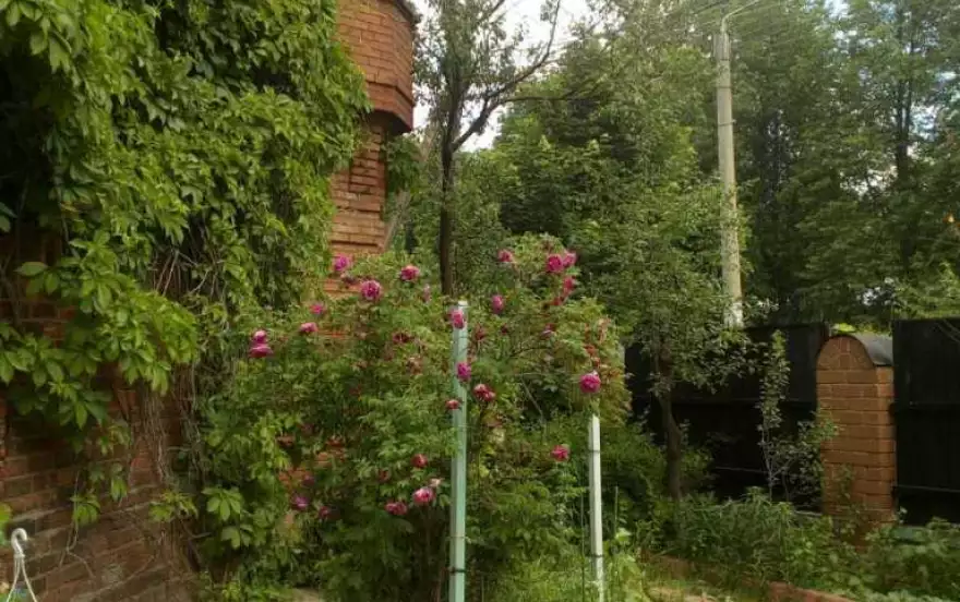 Московская улица, 48а