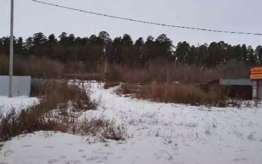 Лесная