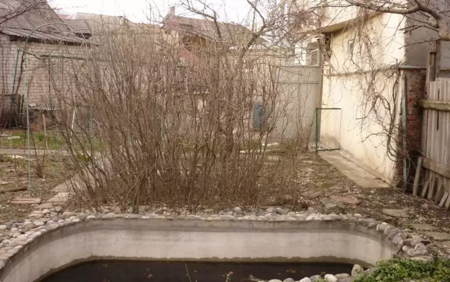 Речная улица, 37