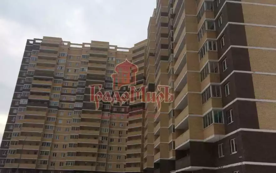 Просвещения улица, 12к1