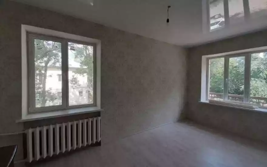 Новый пер, 3