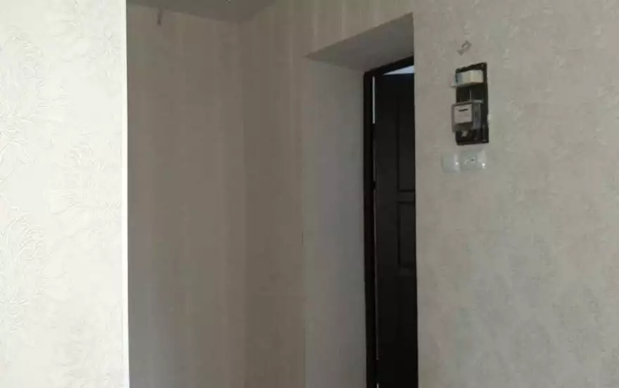 Новый пер, 3