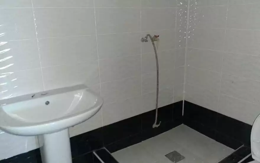 Новый пер, 3