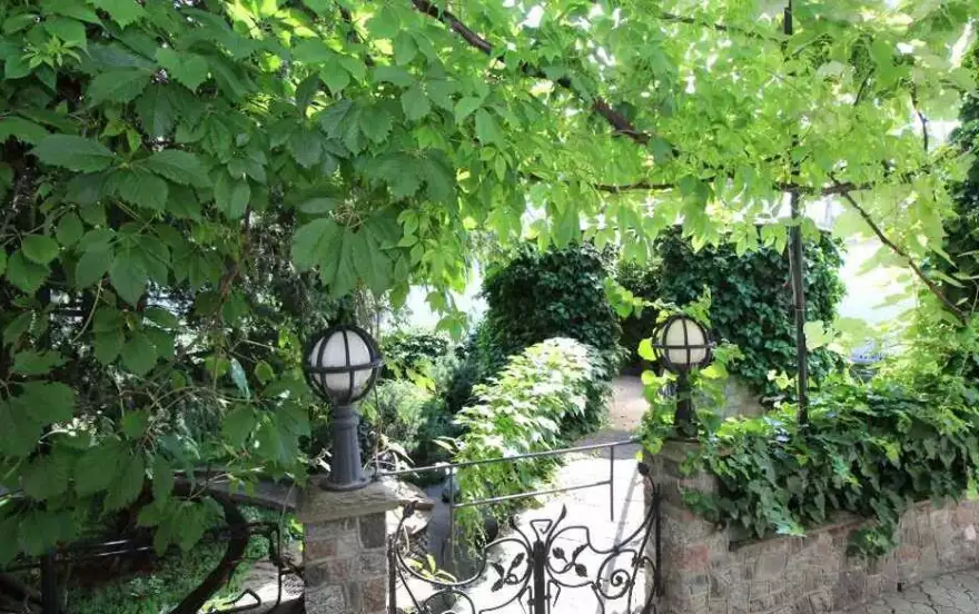Сельвинского улица
