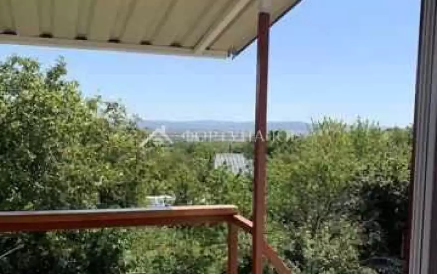 Виноградная улица