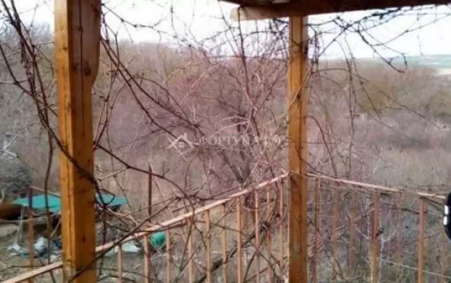 ул Ореховая