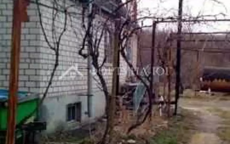 ул Ореховая