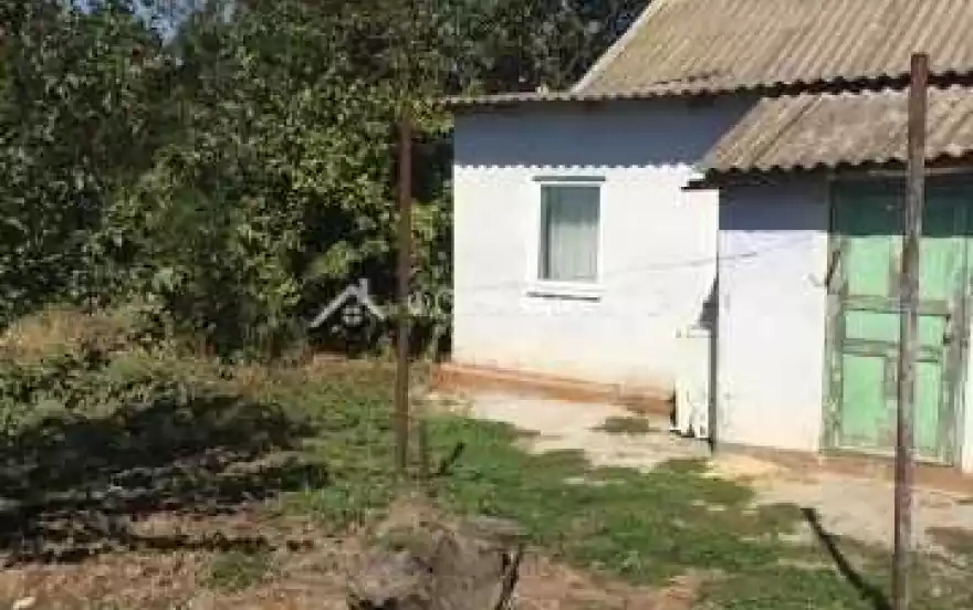 Молодёжная улица