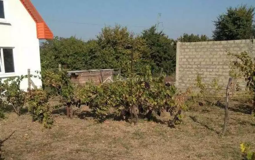 улица Мира