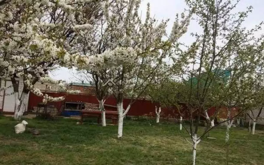 Вишнёвый переулок