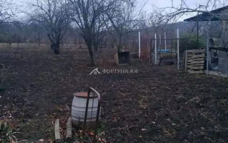 Виноградная улица