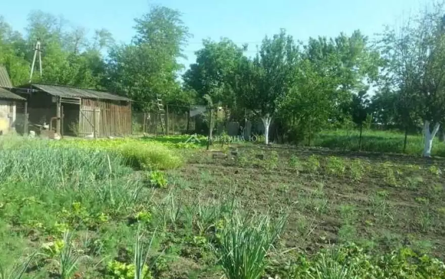 Восточная улица