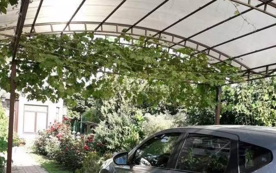 Анапская