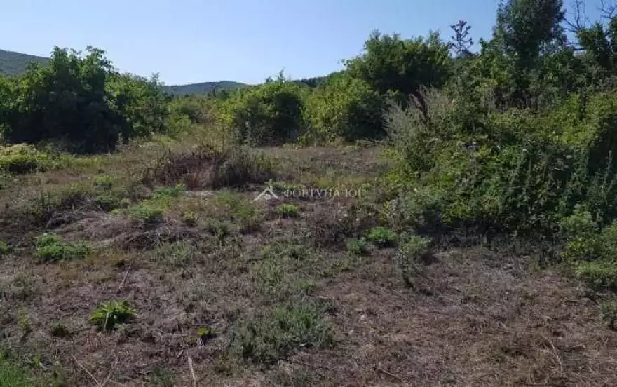 Кавказская улица