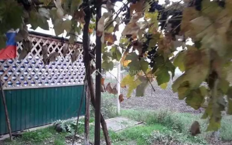 улица Ивиной