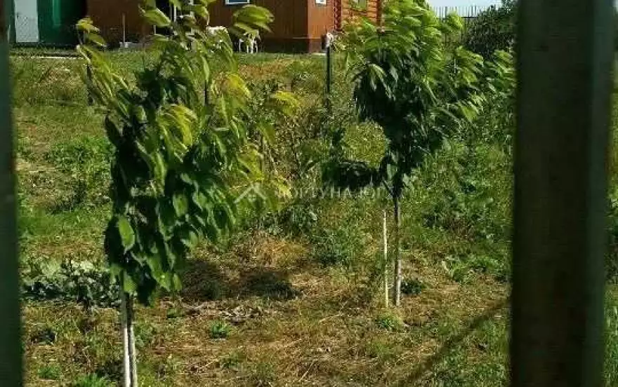 ул Верхняя