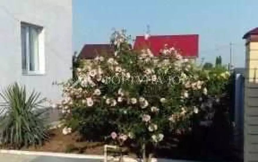 ул Мира