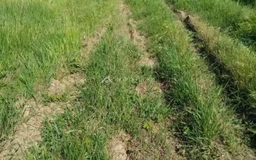 ул Счастливая