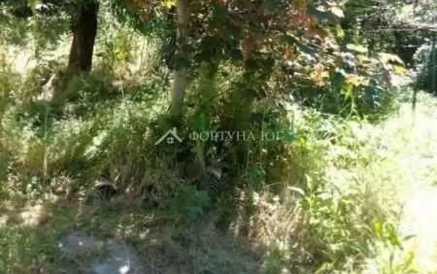 Зелёная улица