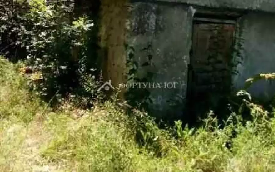 Зелёная улица