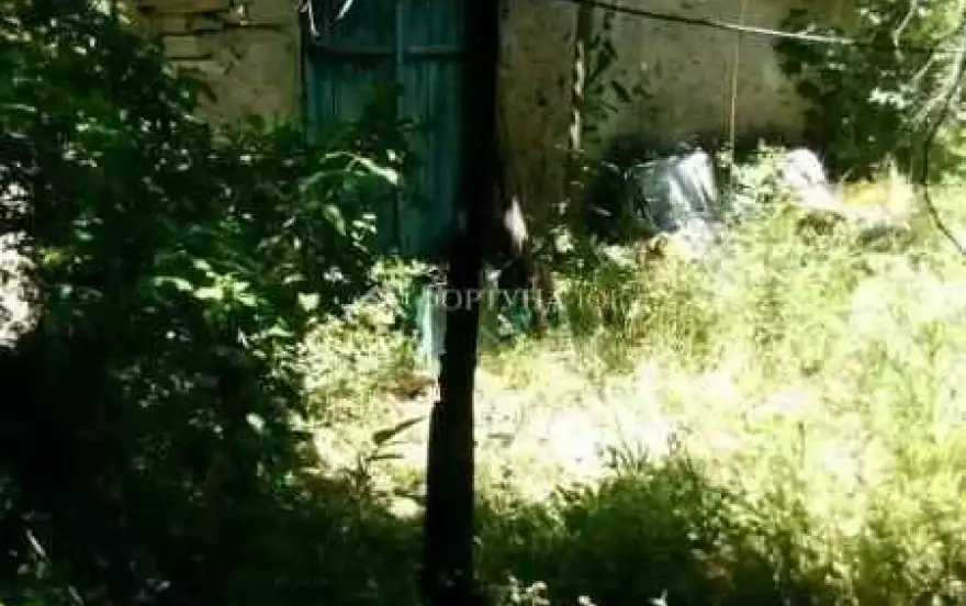 Зелёная улица